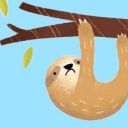stressed-out-sloth