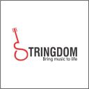 stringdommusic-blog