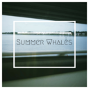 summerwhales