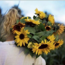 sunflower-lady