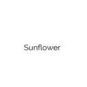 sunflower-posts-blog