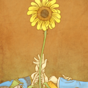 sunflowersandillusions-blog