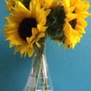 sunflowerseedsandscience