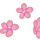 swxxt-hibiscus