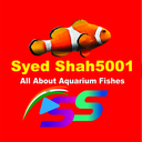 syedshah5001-blog