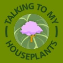 talkingtomyhouseplants