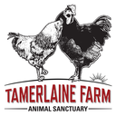 tamerlaine-farm-animal-sanctuary