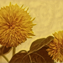 teddybear-sunflower