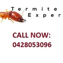 termiteexpert-blog
