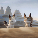 that-one-loth-cat