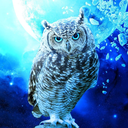 the-blue-owl