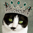 the-cat-with-the-emerald-tiara-1