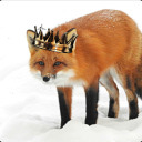 the-foxhole-king