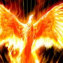 the-phoenix-bird-2712