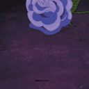 the-purple-roses-man