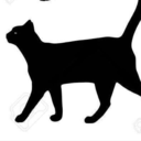 the-romp-n-black-cat
