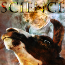 the-science-llama