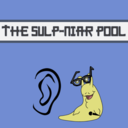 the-sulp-niar-pool