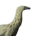 the-therizinosaurus
