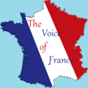 the-voice-of-france
