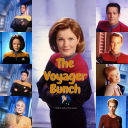 the-voyager-bunch