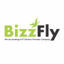 thebizzfly-blog