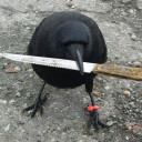 thecrowperson