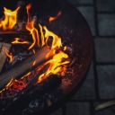 thefirewoodfireplaceguide-blog
