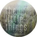 thelittlethingsmovie-blog