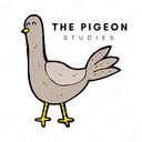 thepigeonstudies-blog