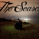 thesearchbrand-blog