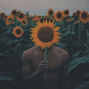 theshadeofsunflowers-blog