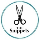 thesnippetsblog
