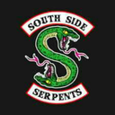 thesouthsidevixens