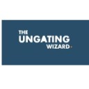 theungatingwizardsblog