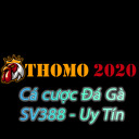 thomo2020-blog