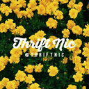 thriftnic-blog