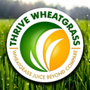 thrivewheatgrass-blog