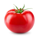 tomatori
