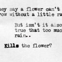 too-much-rain-kills-the-flower