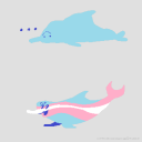 trans-dolphin