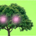trans-oaktree-mlm