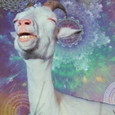 transcendental-space-goat