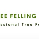 treefellingpretoria3