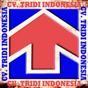 tridiindonesia