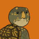 turtle-ika