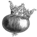 tuttut-the-onion-queen