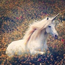 unicorn--universe-blog