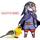 vaatis-bird