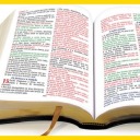 vamoslerabiblia